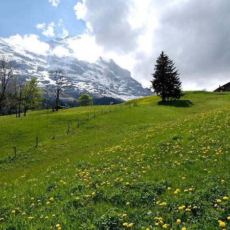 Aspen Alpine Lifestyle Hotel Grindelwald Luaran gambar