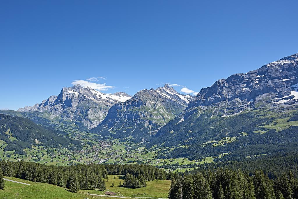 Aspen Alpine Lifestyle Hotel Grindelwald Luaran gambar