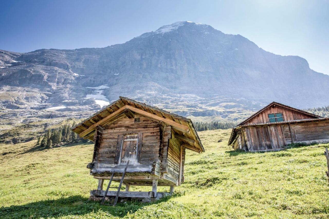 Aspen Alpine Lifestyle Hotel Grindelwald Luaran gambar